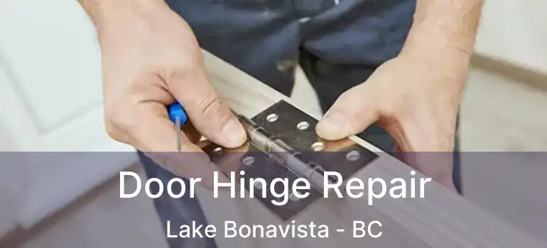  Door Hinge Repair Lake Bonavista - BC