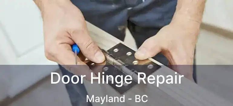  Door Hinge Repair Mayland - BC