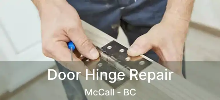  Door Hinge Repair McCall - BC