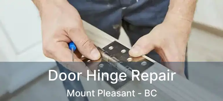  Door Hinge Repair Mount Pleasant - BC