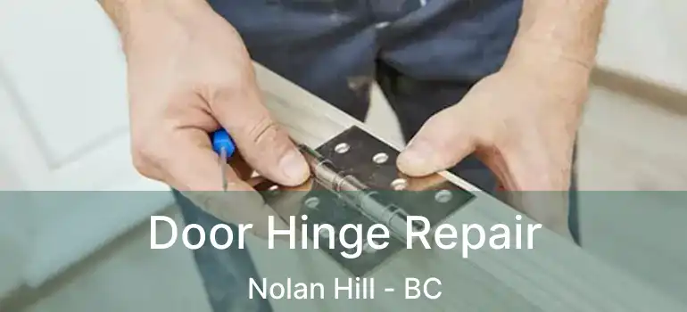  Door Hinge Repair Nolan Hill - BC