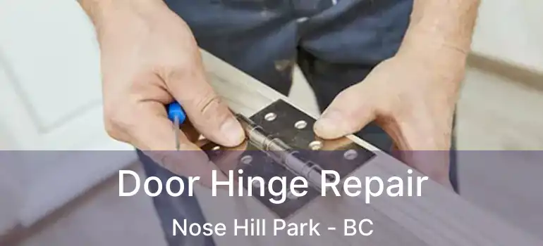  Door Hinge Repair Nose Hill Park - BC
