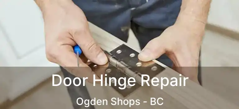  Door Hinge Repair Ogden Shops - BC