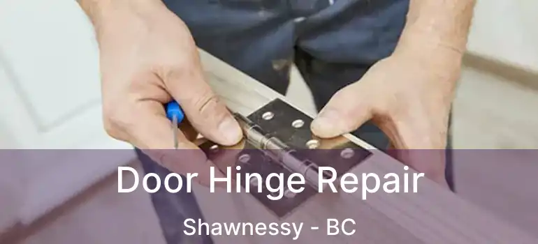  Door Hinge Repair Shawnessy - BC