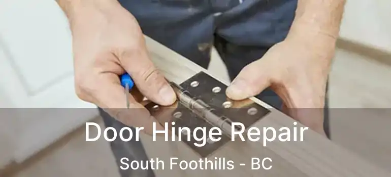  Door Hinge Repair South Foothills - BC