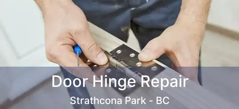  Door Hinge Repair Strathcona Park - BC