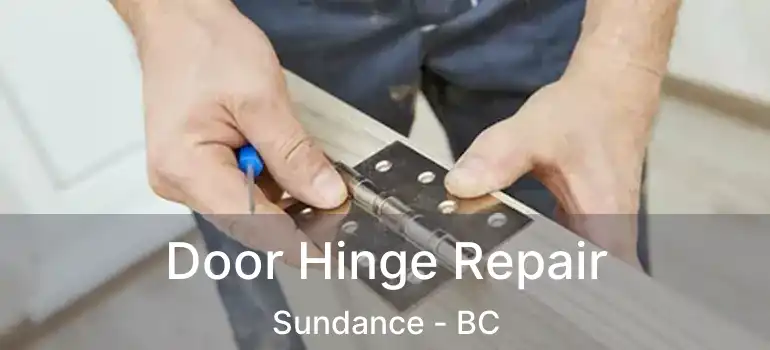  Door Hinge Repair Sundance - BC