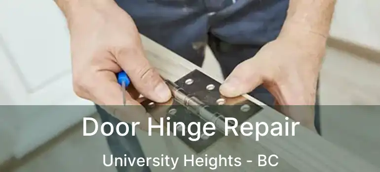  Door Hinge Repair University Heights - BC