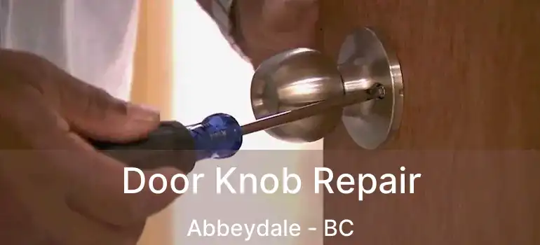  Door Knob Repair Abbeydale - BC