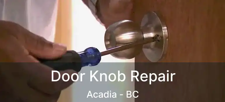  Door Knob Repair Acadia - BC