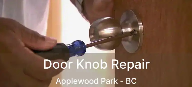  Door Knob Repair Applewood Park - BC