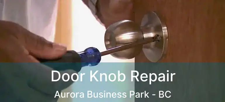  Door Knob Repair Aurora Business Park - BC