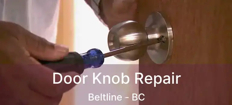  Door Knob Repair Beltline - BC