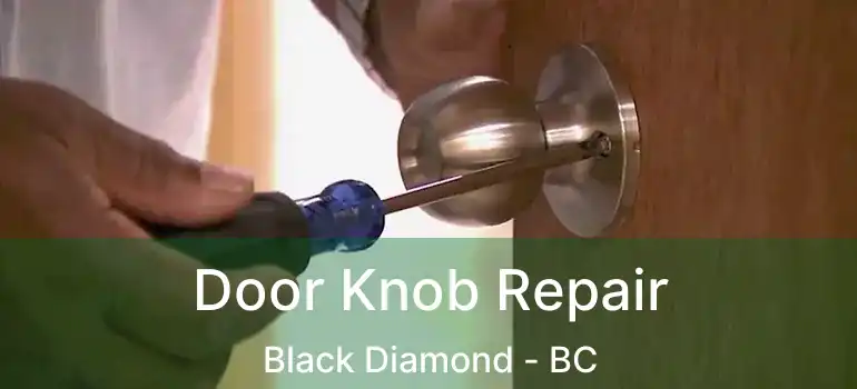  Door Knob Repair Black Diamond - BC