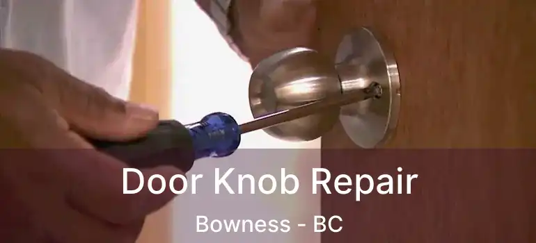  Door Knob Repair Bowness - BC