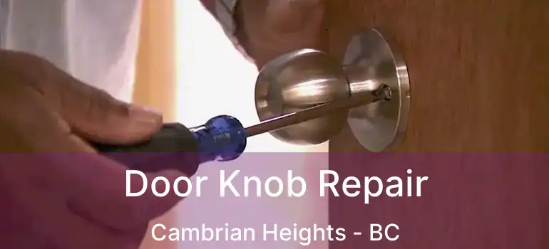  Door Knob Repair Cambrian Heights - BC