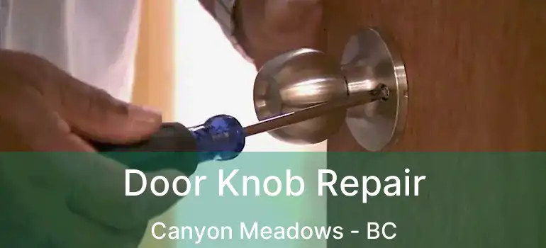  Door Knob Repair Canyon Meadows - BC