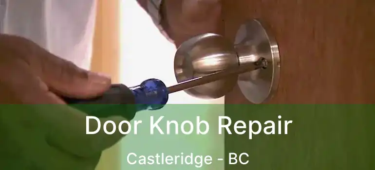  Door Knob Repair Castleridge - BC