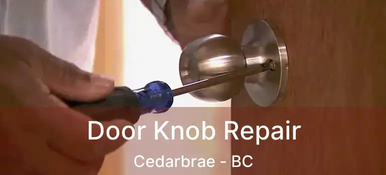  Door Knob Repair Cedarbrae - BC