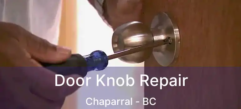  Door Knob Repair Chaparral - BC