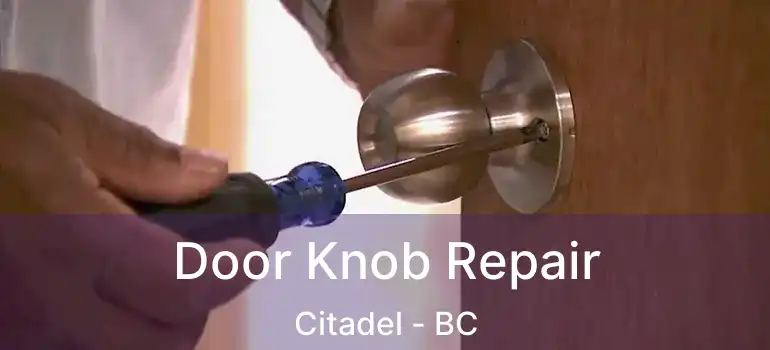  Door Knob Repair Citadel - BC