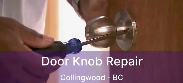 Door Knob Repair Collingwood - BC