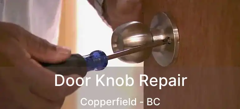  Door Knob Repair Copperfield - BC