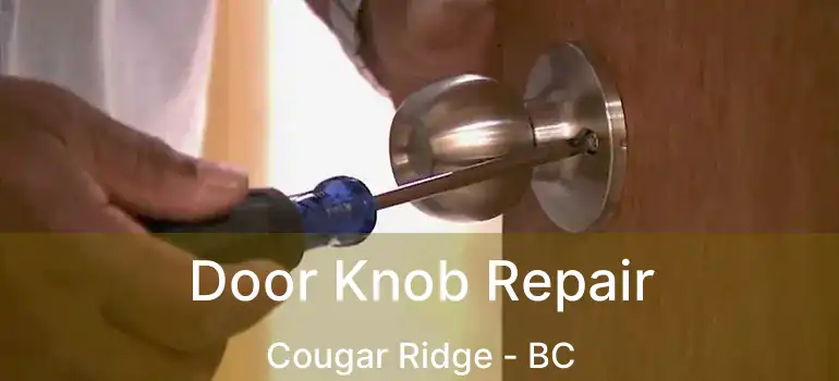  Door Knob Repair Cougar Ridge - BC