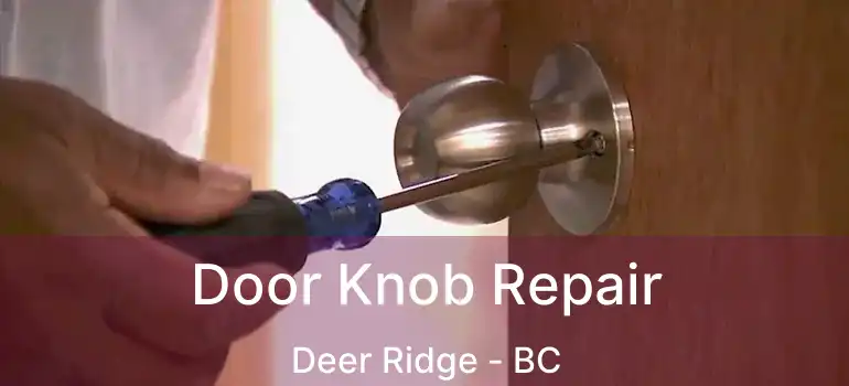  Door Knob Repair Deer Ridge - BC