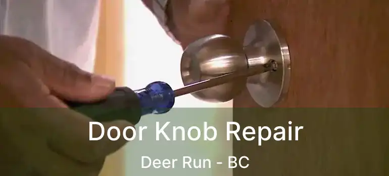  Door Knob Repair Deer Run - BC