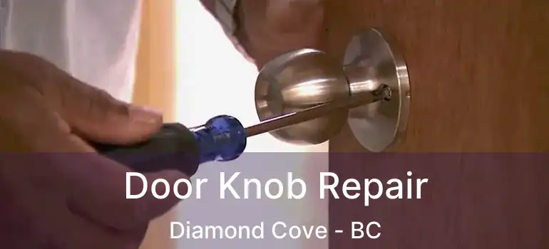  Door Knob Repair Diamond Cove - BC