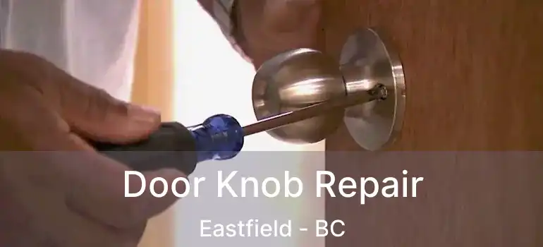 Door Knob Repair Eastfield - BC