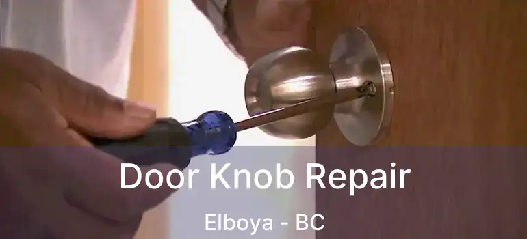  Door Knob Repair Elboya - BC