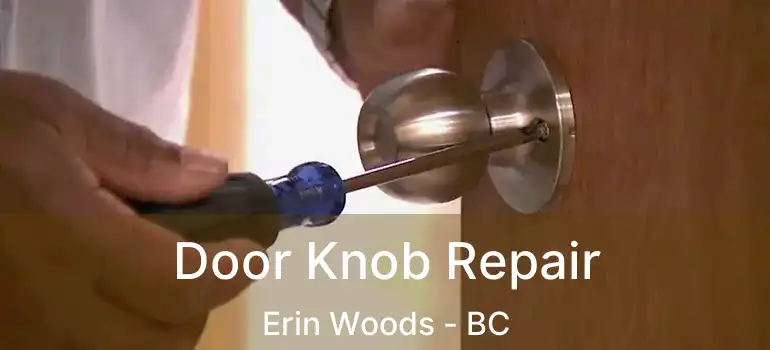  Door Knob Repair Erin Woods - BC