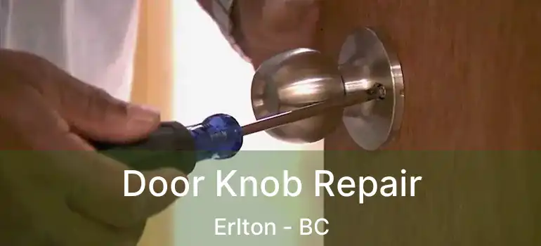  Door Knob Repair Erlton - BC