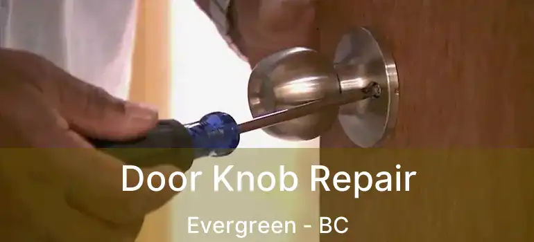  Door Knob Repair Evergreen - BC