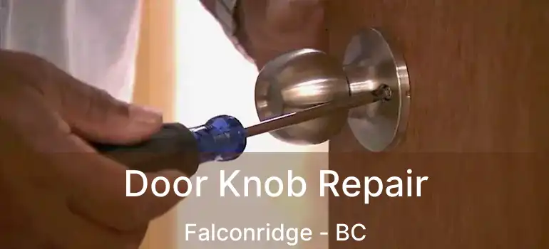  Door Knob Repair Falconridge - BC