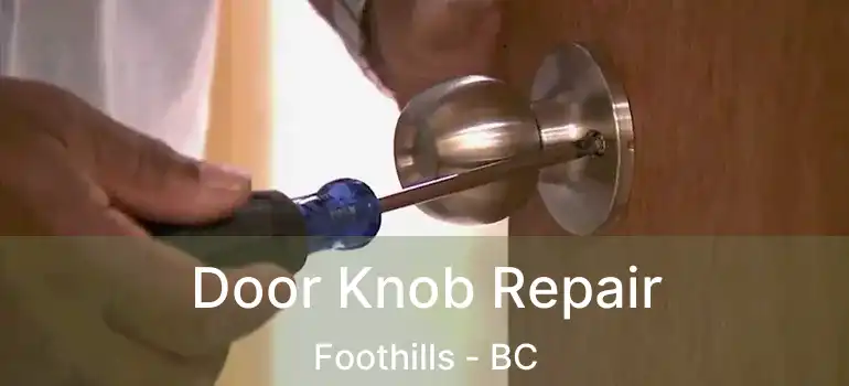  Door Knob Repair Foothills - BC