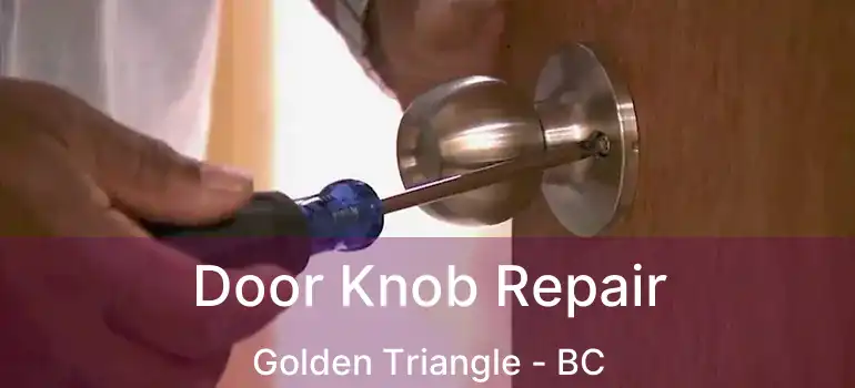  Door Knob Repair Golden Triangle - BC