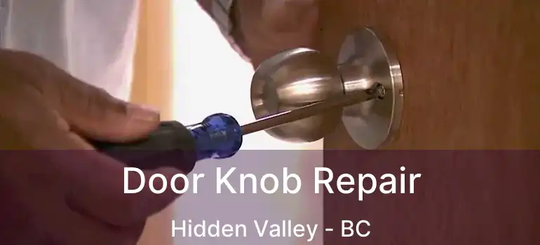  Door Knob Repair Hidden Valley - BC