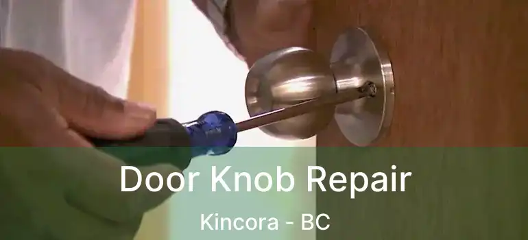  Door Knob Repair Kincora - BC