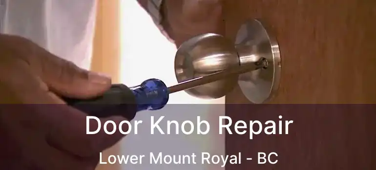  Door Knob Repair Lower Mount Royal - BC