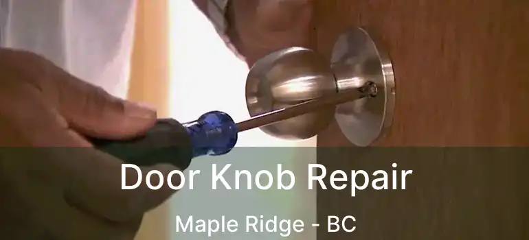  Door Knob Repair Maple Ridge - BC