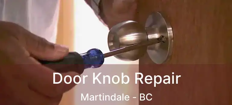  Door Knob Repair Martindale - BC