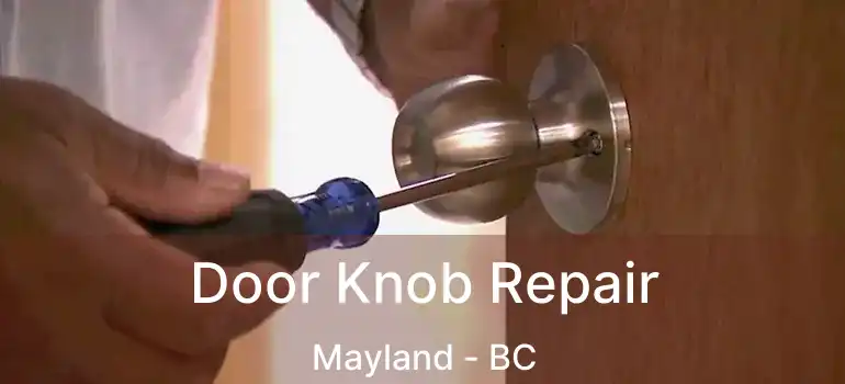  Door Knob Repair Mayland - BC