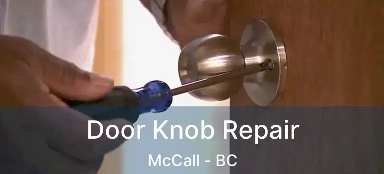  Door Knob Repair McCall - BC