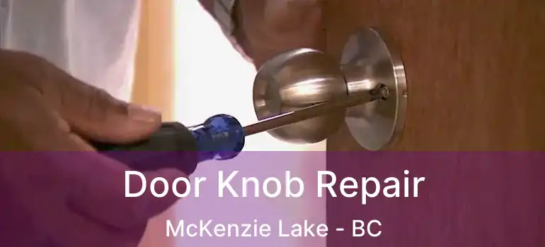  Door Knob Repair McKenzie Lake - BC