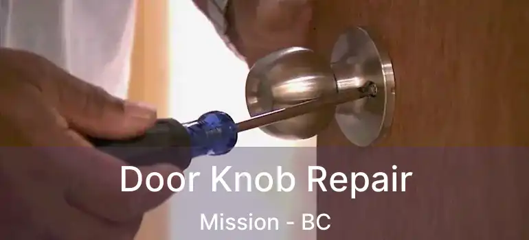  Door Knob Repair Mission - BC