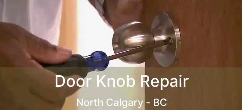  Door Knob Repair North Calgary - BC