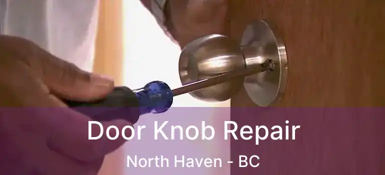  Door Knob Repair North Haven - BC